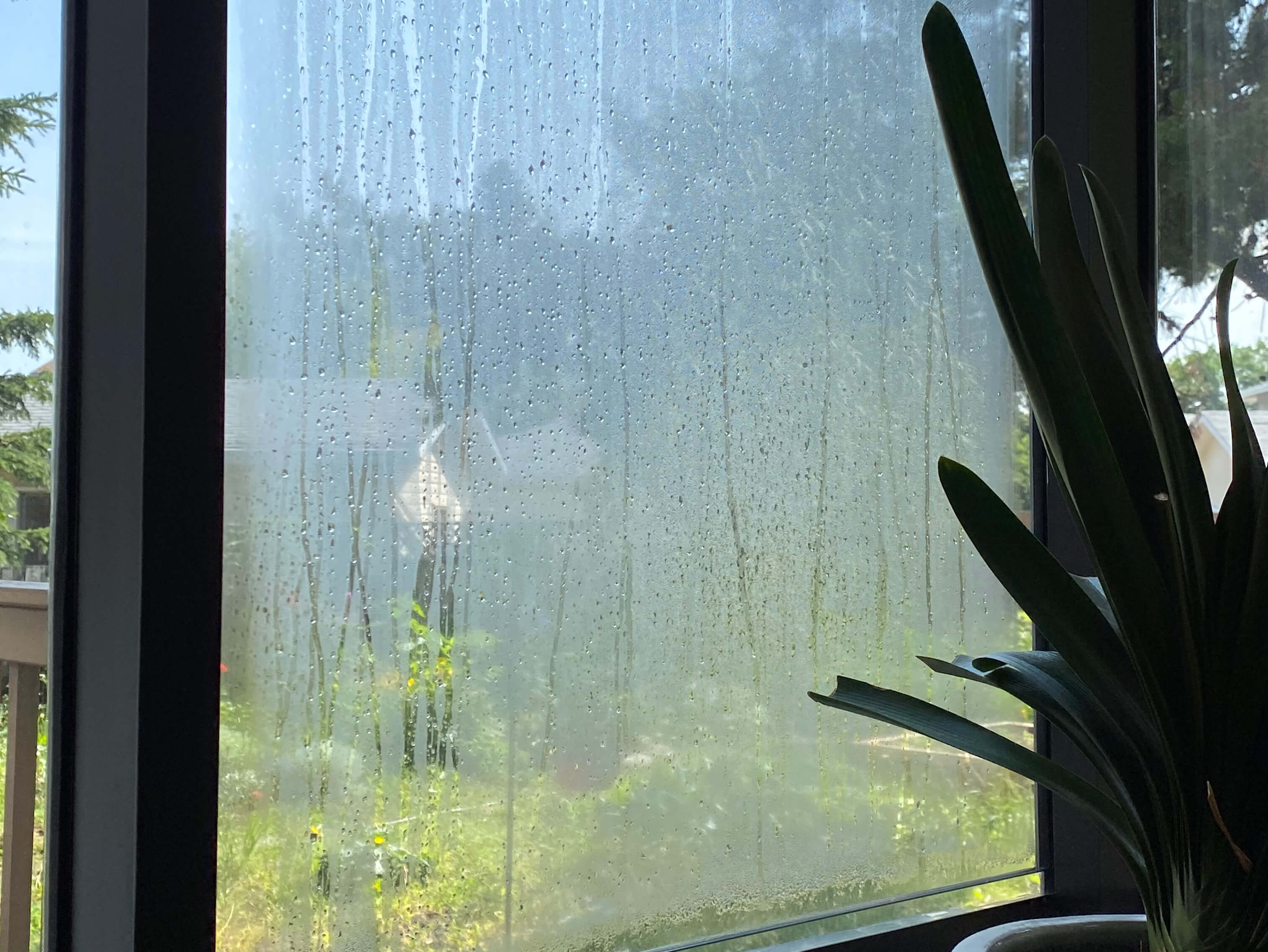 Window Defogging Services Edmonton