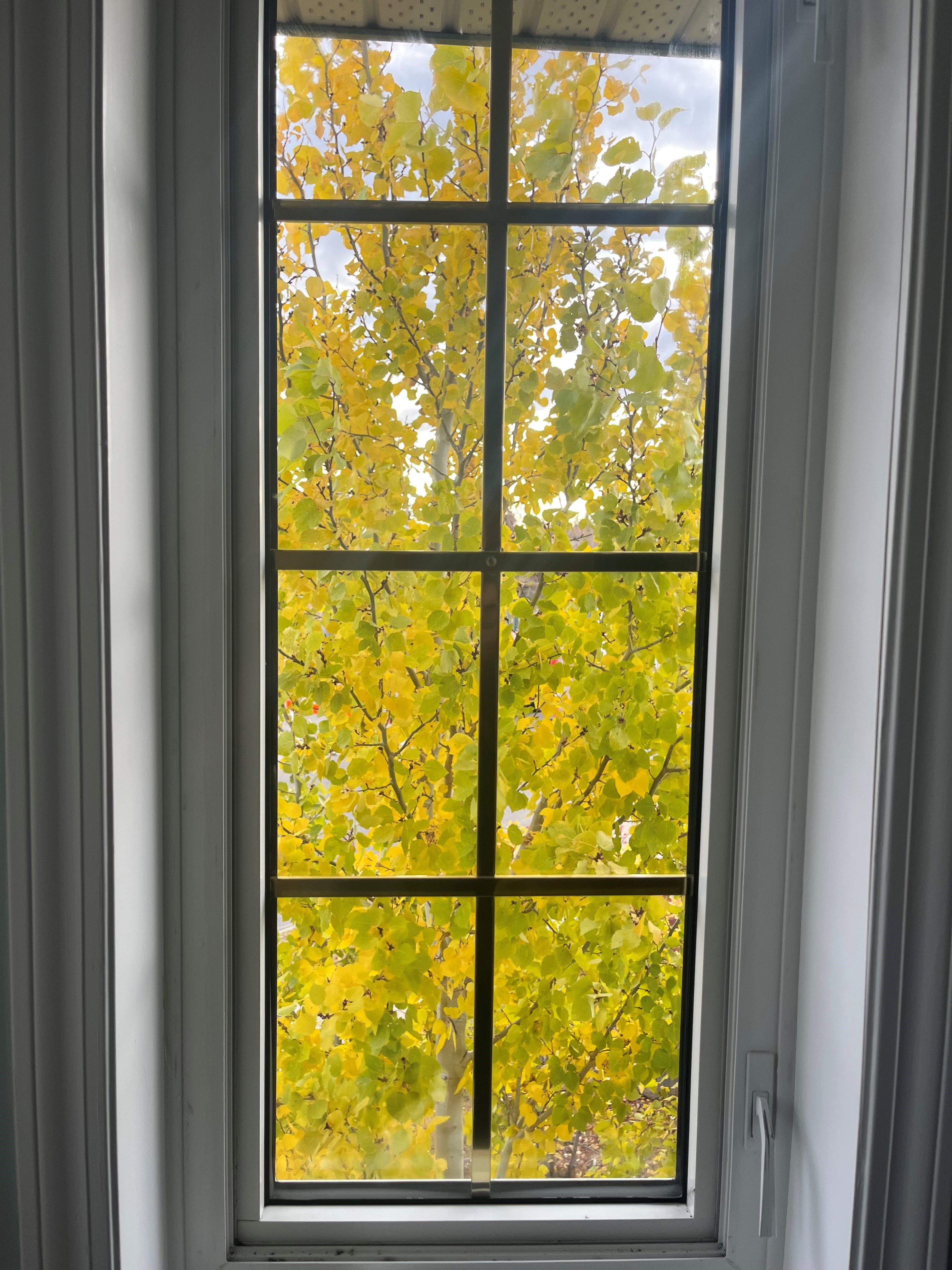 Window Glass Replacement Priority Glass Edmonton & Area