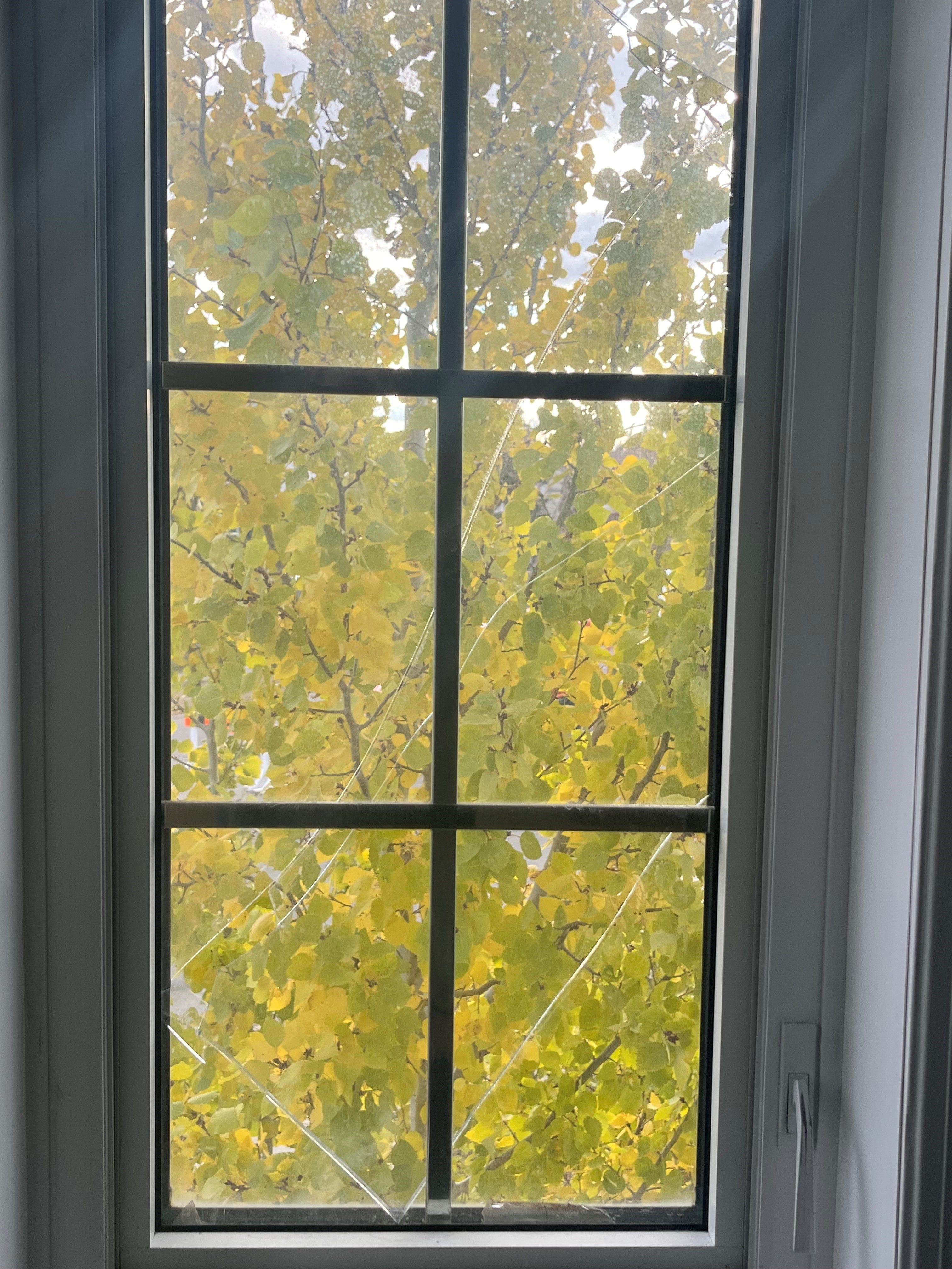 Window Glass Replacement Priority Glass Edmonton & Area